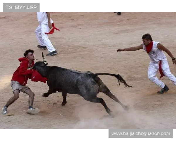 便捷手机访问真人斗牛网站，随时随地开启刺激的斗牛之旅