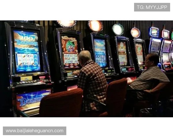 云顶集团旗下赌场的安全保障措施与客户服务体系详解