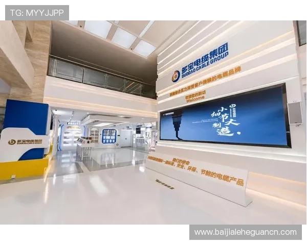 多宝视讯是哪里的公司详细介绍及其背景信息解析