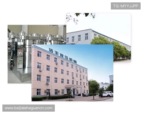 瑞丰乐投letou：多元化投资产品满足不同客户需求