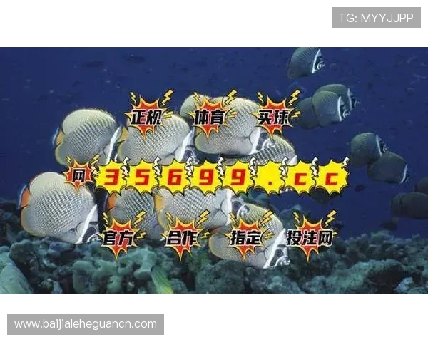 bg视讯厅官方网站最新登录入口，提供安全稳定的线上娱乐体验推荐